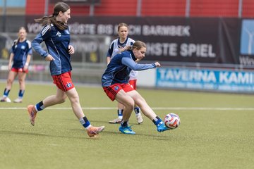 Bild 173 - wBJ Hamburger SV - FC Suederelbe : Ergebnis: 9:0
